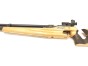 karabin-walther-lgm2-junior-pcp-detal-uchwyt
